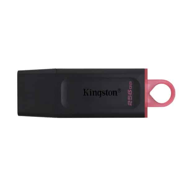 Kingston USB 256GB