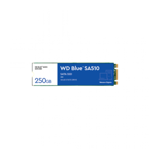SSD BLUE M2